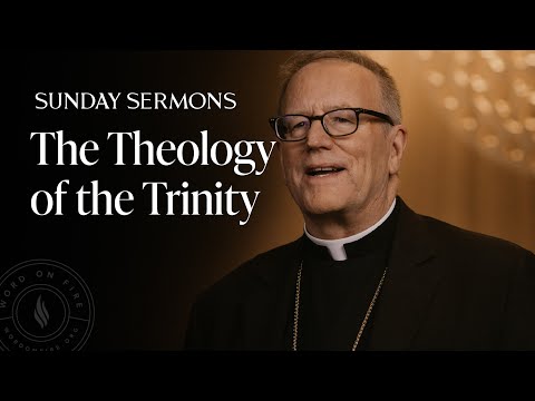 The Theology of the Trinity - Bishop Barron's Sunday Sermon