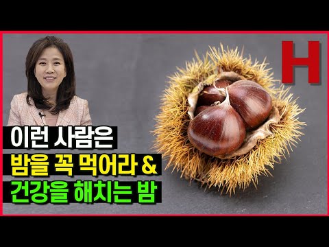 밤을 꼭 먹어야 하는 이유 & 밤 먹으면 안 되는 사람 가을제철 밤 총정리!