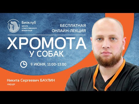 Хромота у собак