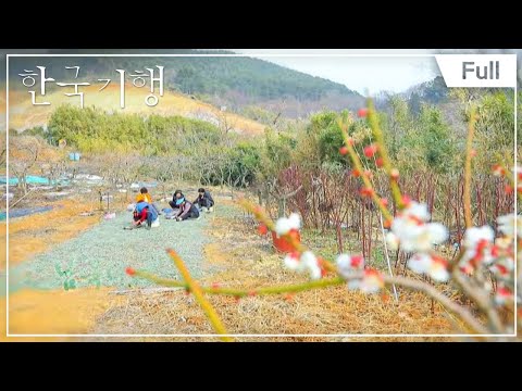 [Full] 한국기행 -  남쪽나라 오감기행 1부 ~ 5부