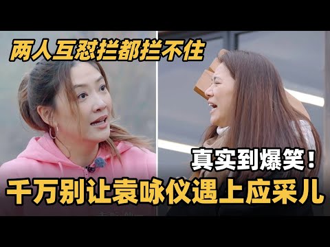 拿捏应采儿只需要一个袁咏仪！两人互怼全是真实伤害，全程爆笑拦都拦不住！#应采儿 #袁咏仪 #林心如 #我们的美好生活 #蔡少芬 #陈小春 #张智霖 #披荆斩棘2025