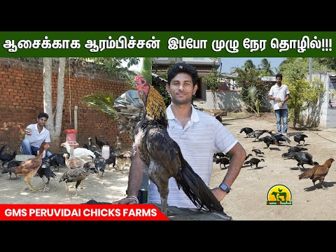 Good profitable Peruvian chicken farming | vivasaya arvalargal
