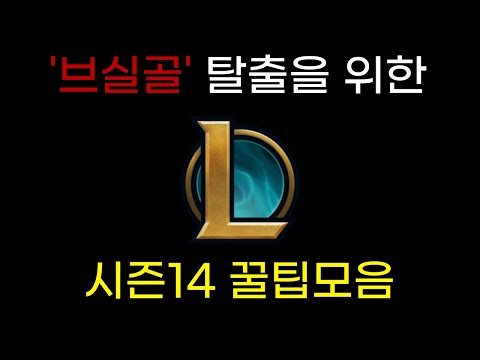 롤 전프로가 보는 14시즌 꿀팁 모음