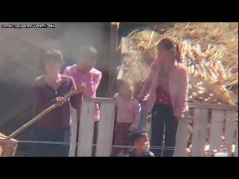 Actual Footage of the Ordinary Lives of North Koreans