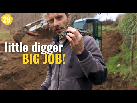 28 - Renovation Of Our Old Barn. Excavating the Hill Behind the Barns.