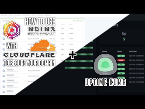 Secure Your Domain with NGINX Proxy Manager and Cloudflare (Including Uptime Kuma Demonstration)
