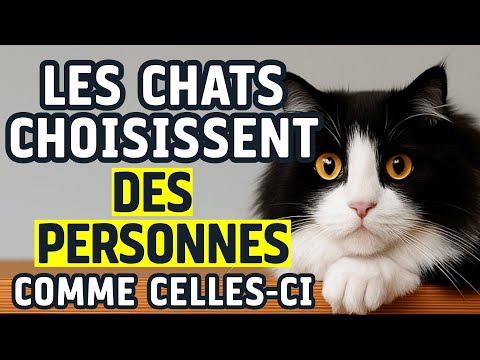 Pourquoi les chats choisissent leurs humains préférés