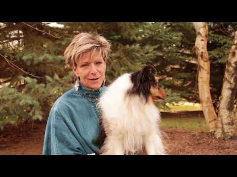 Meet our Top Dog - Jean