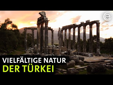 Wild Türkiye – From the Bosporus to the Mediterranean | Experience Earth