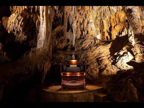 This Is the Oldest, Weirdest Instrument On Earth