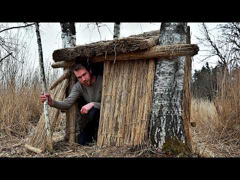 Overnight in a REED SHELTER I built -6°C