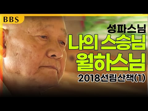 |특집|성파대종사 종정예하 추대기념특집_2018선림산책 1부 "성파스님의 스승, 월하스님"