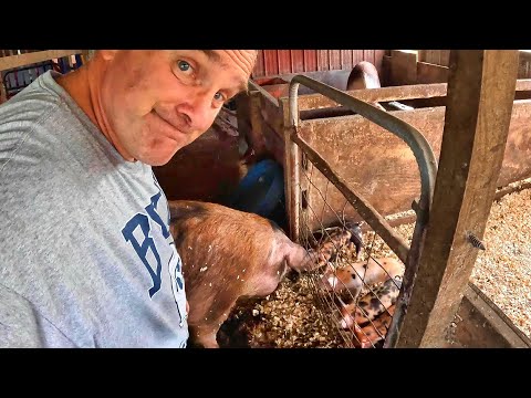 ALL HECK BREAKS LOOSE...