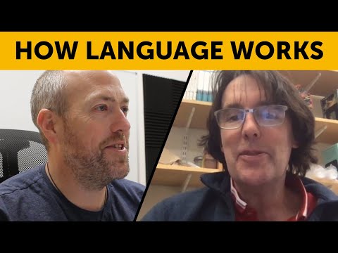 How language works (with Ted Gibson)