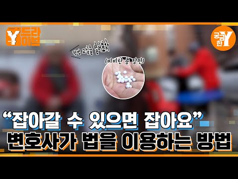 법대로 합시다!⚖️ | Y드라이브