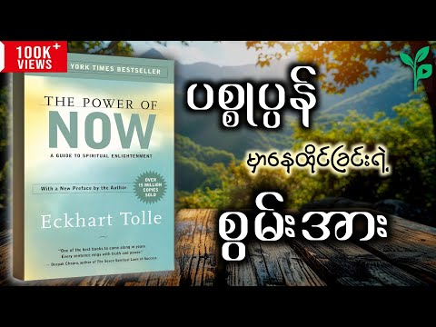သင့်ဘဝကိုပြောင်းလဲမယ့် စာအုပ် | The Power of Now အနှစ်ချုပ် (Book Summary)