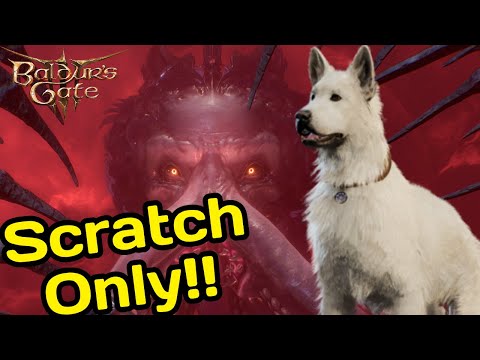 Can Scratch Beat Baldur's Gate 3?? (Act 3)