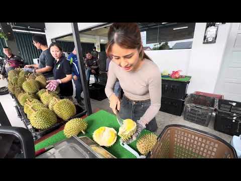马来西亚怡保最出名的榴莲女刀手！榴莲靓女！美女开榴莲！怡保榴莲美女！榴莲公主！
