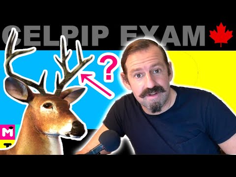 CELPIP - How to Describe Animals