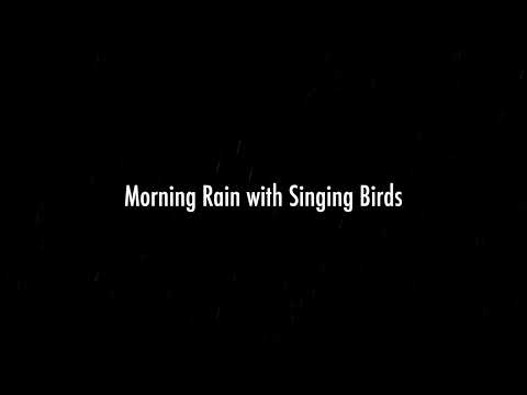 Morning Rain with Singing Birds | Hi-Fi Recording | Sleep Study Focus Noise Background
