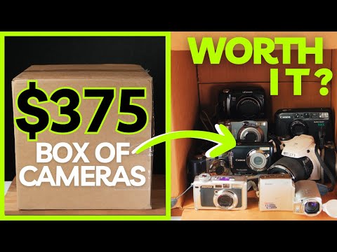 Can I Double my Money on these Nikon, Sony, Canon, Fujifilm, and Pentax Cameras?