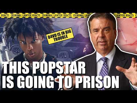 Criminal Lawyer Reacts to the D4VD Case