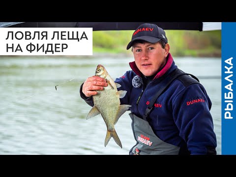 Соблазняем лещей на поклёвки! Рыбалка на леща в мае и июне. Рыбалка 2020 на фидер