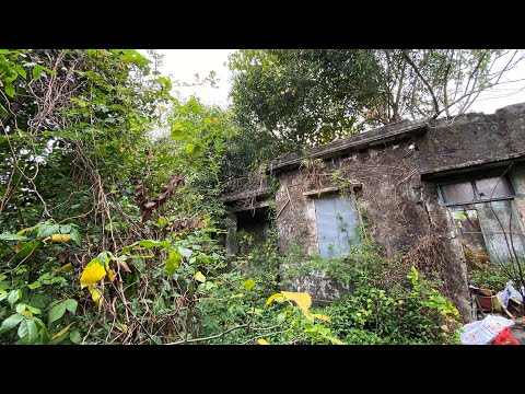 Clean up the Abandoned House covered with Weeds | Clean the old house, Overgrown Plants