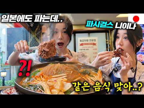 일본에서 감자탕 많이 먹어봤다는 일본 여자에게 현지 한국 감자탕을 보여줬더니 보인 반응ㅋㅋ l 일본이랑 아예 다른 음식인데? 같은 음식 맞아요?(진짜 감자탕 첫 반응) l 먹터뷰