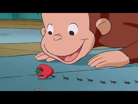 George Learns About Ants! ππ΅ Curious George | Animal Friends