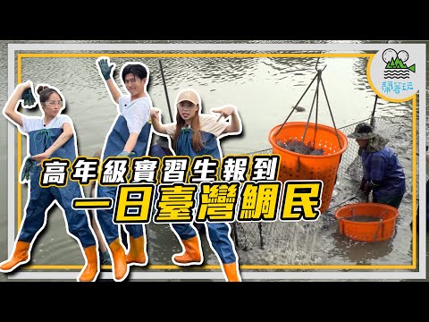 《高年級實習生報到》全新企劃 一起來下海當個台灣鯛民｜爆嗑8鯛 太爽了吧！原來這滋味才是臺灣鯛？｜臺灣有條美人道 夠正才能來？【鬧著玩 320】
