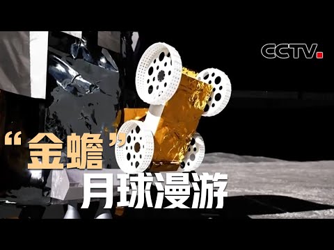 揭秘2024“金蟾”月球漫游！嫦娥六号带回的月壤究竟什么样？| CCTV中文《嫦娥六号》第3集 带回家