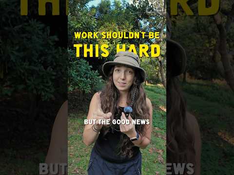 your bosses are lying to you… work doesn’t need to be this hard #corporatelife