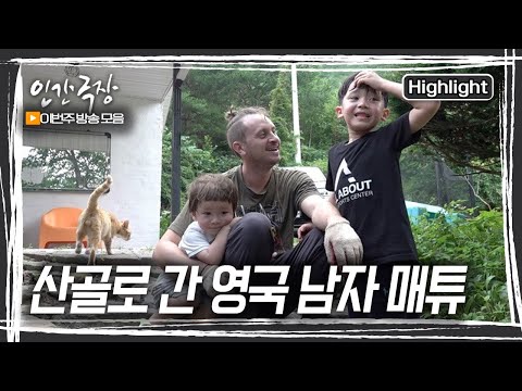 강원도 정선 산골에서 고향 '노리치'를 정취를 느끼다! 유쾌한 영국 남자 매튜와 가족의 행복한 산골살이 [인간극장] | KBS 20240902-6 방송