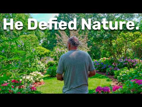 He built a hidden sanctuary that shouldn't exist on earth