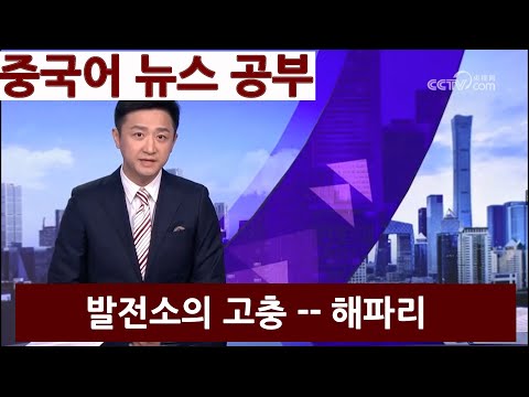 100 중국어 뉴스 단어 표현 원어민 말하기 듣기