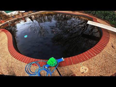 Disgusting pool looks like COFFEE! Amazing Pool Transformation POV