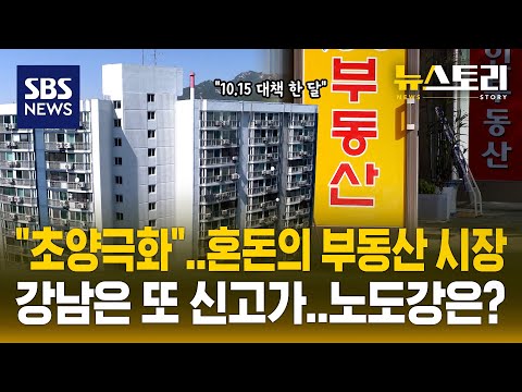 "서울 집값 급한 불 껐다" vs "거래 마비..실수요자 타격" | SBS 뉴스토리