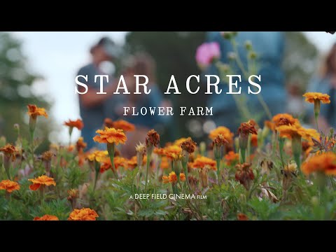 Star Acres Flower Farm