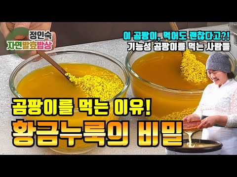 치매 예방의 비밀! 황금 쌀누룩 레시피 공개 people who eat functional fungi