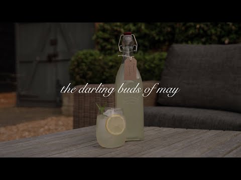 the darling buds of may | rosemary lemonade, wisteria and tomato plants🍋 [silent vlog]