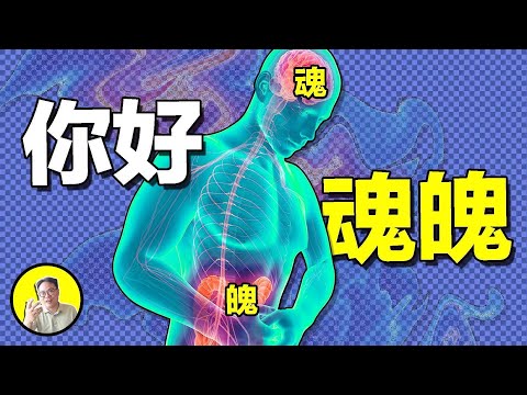 感染還是寄居？胃癌的元兇，人類真能徹底離開它嗎？痛飲一杯來自五千年前的細菌......｜總裁聊聊