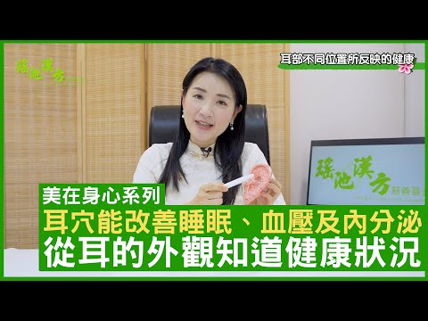 耳穴能改善睡眠、血壓及內分泌 從耳的外觀知道健康狀況 - 鄭丹瑞《健康旦》註冊中醫師 #楊明霞 EP 4 Part 1 (CC中文字幕)