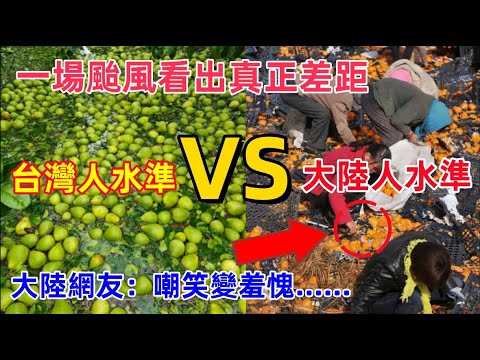 台灣人水準VS大陸人水準，一場颱風看出兩岸真正的差距，台灣人互愛互助，大陸人......大陸網友由嘲笑變羞愧！！！