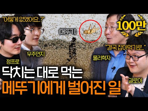 전 지구를 휩쓸고 다니는 메뚜기 떼가 1년 뒤에 사라지는 이유 ㅋㅋ ㅣ과학을 보다 EP.60