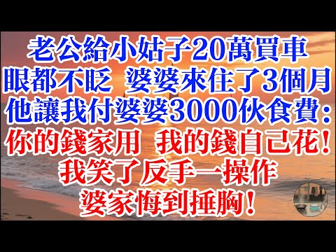 老公給小姑子20萬買車眼都不眨 婆婆來住了3個月 他讓我付婆婆3000伙食費：你的錢家用 我的錢自己花！我笑了反手一操作 婆家悔到捶胸！#煙火故事匯 #婆媳 #家庭 #生活故事 #故事 #情感故事