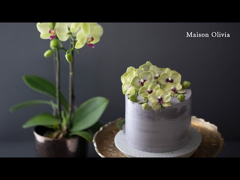 Orchid Cake(Flower Cake). 양란케이크(플라워케이크)