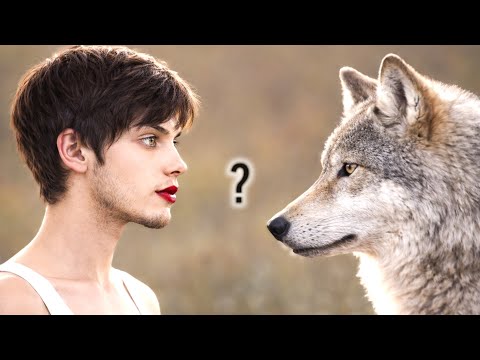 WHY WOLVES ONLY RECOGNISE 2 GENDERS! - Sorry! It's Science