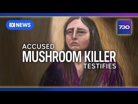 Accused mushroom murderer Erin Patterson gives evidence in court | 7.30