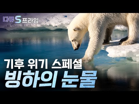 [다큐S프라임] 기후 위기 스페셜 _ 빙하의 눈물 / YTN 사이언스
